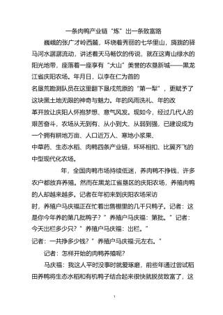 一条肉鸭产业链“炼”出一条致富路