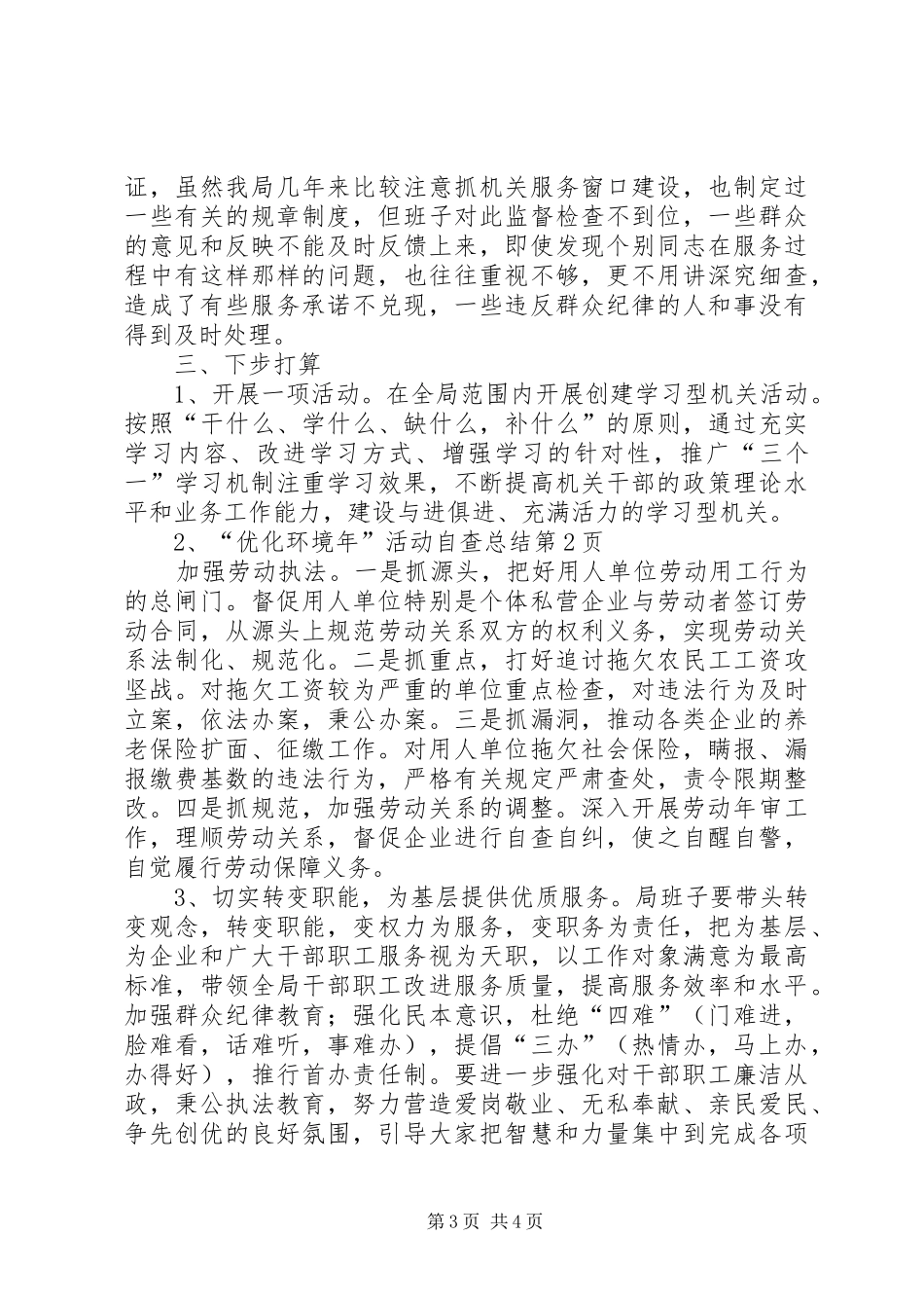 “优化环境年”活动自查总结 _第3页