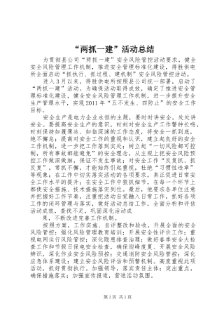 “两抓一建”活动总结 