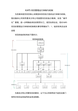 项目管理运行体制与机制