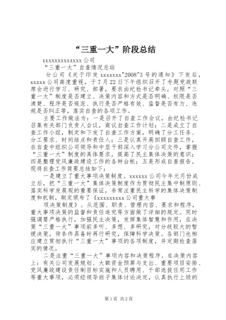 “三重一大”阶段总结 