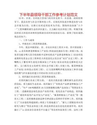 下半年县领导干部工作参考计划范文 
