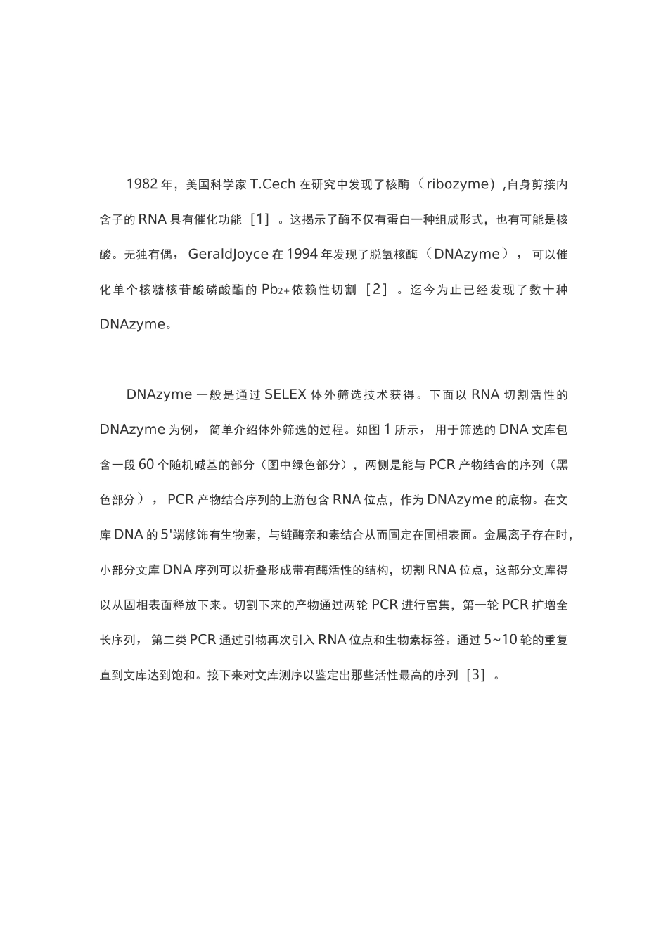 DNAzyme核酶简介_第1页