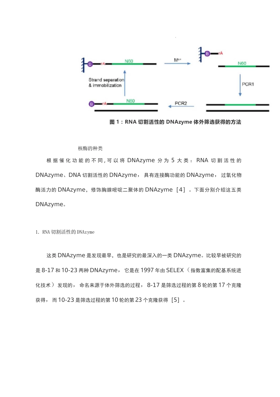 DNAzyme核酶简介_第2页