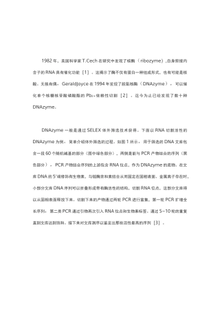 DNAzyme核酶简介
