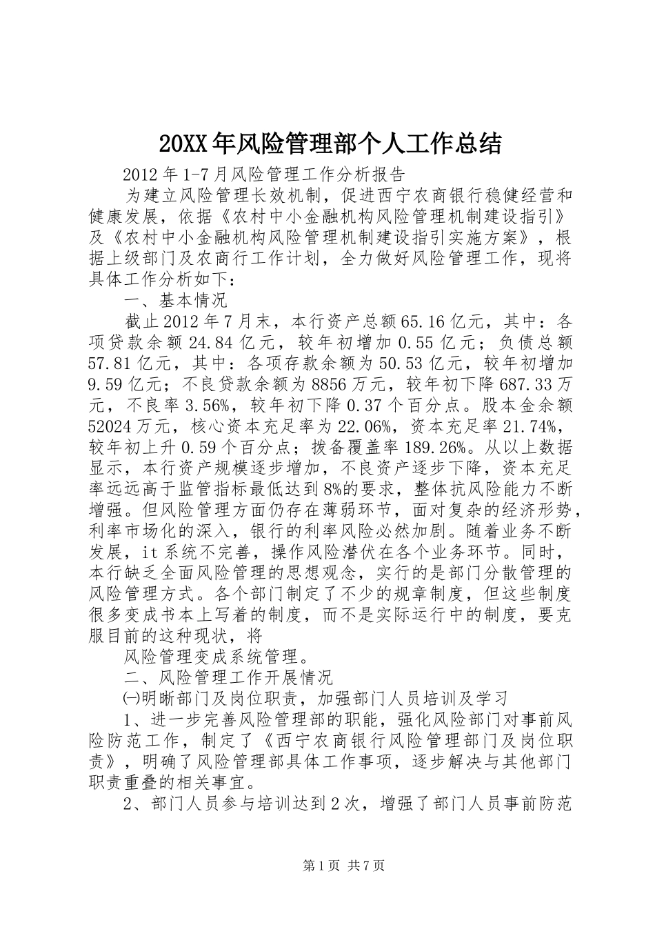 20XX年风险管理部个人工作总结 _第1页