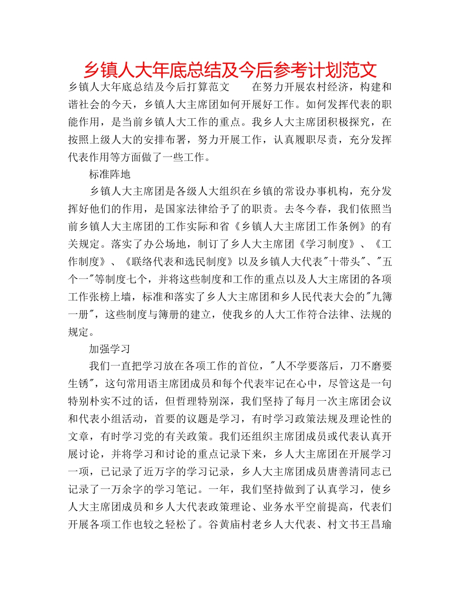 乡镇人大年底总结及今后参考计划范文 _第1页