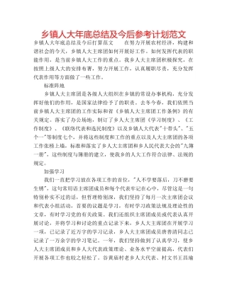 乡镇人大年底总结及今后参考计划范文 