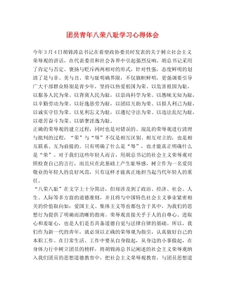 团员青年八荣八耻学习心得体会 