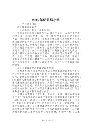 20XX年纪监局小结