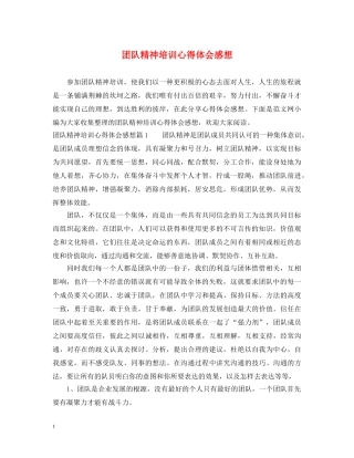 团队精神培训心得体会感想 