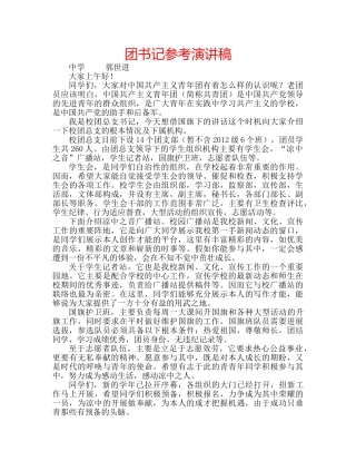团书记参考演讲稿 
