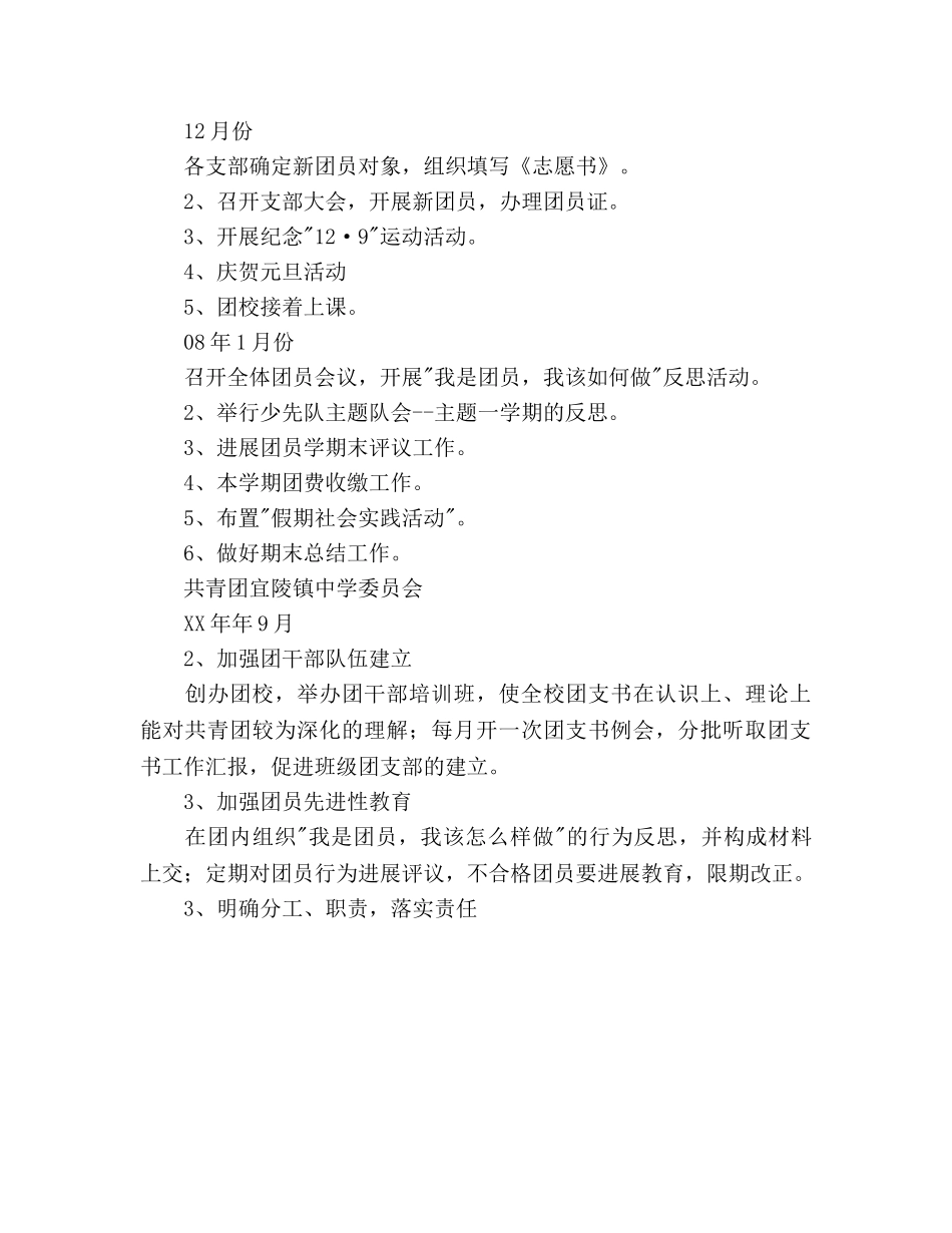 团委工作参考计划书 _第3页