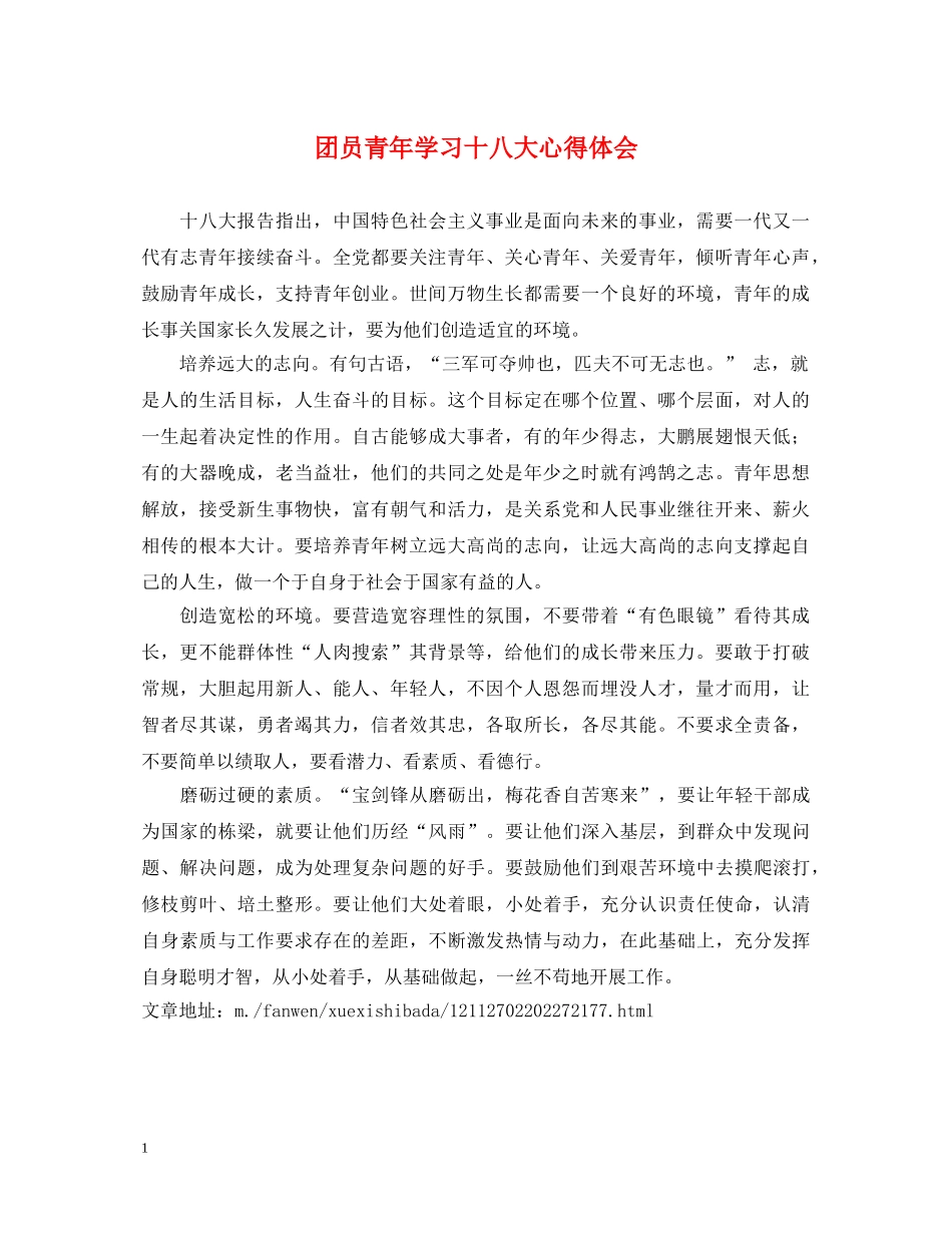 团员青年学习十八大心得体会 _第1页