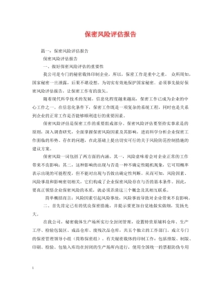 保密风险评估报告 