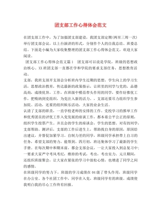 团支部工作心得体会范文 