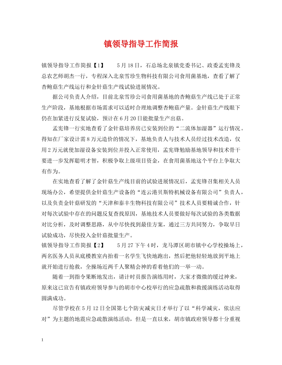 镇领导指导工作简报 _第1页