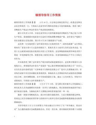 镇领导指导工作简报 