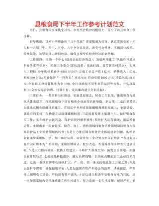 县粮食局下半年工作参考计划范文 