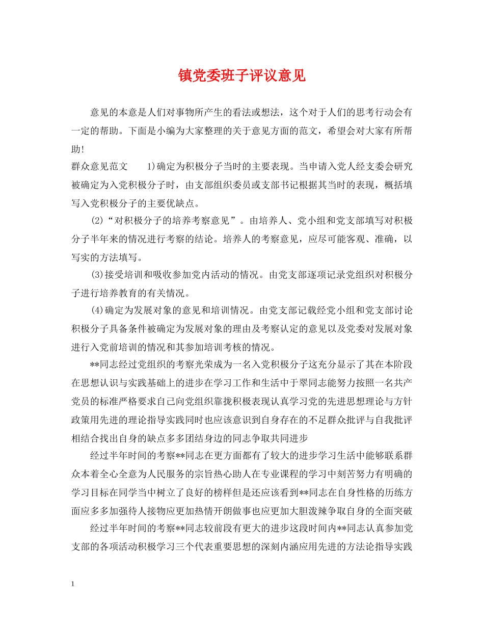 镇党委班子评议意见 _第1页