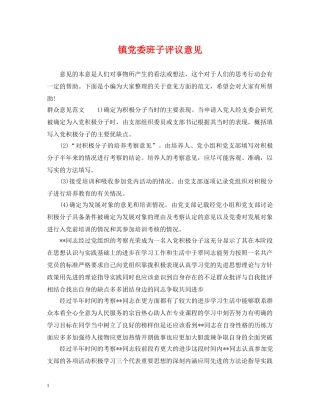 镇党委班子评议意见 