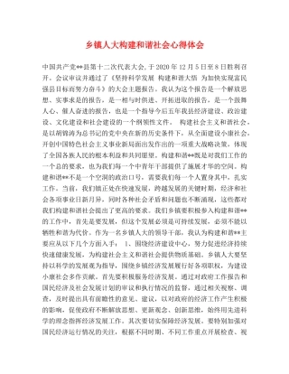乡镇人大构建和谐社会心得体会 