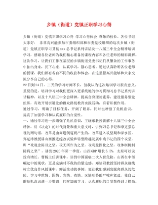 乡镇（街道）党镇正职学习心得 