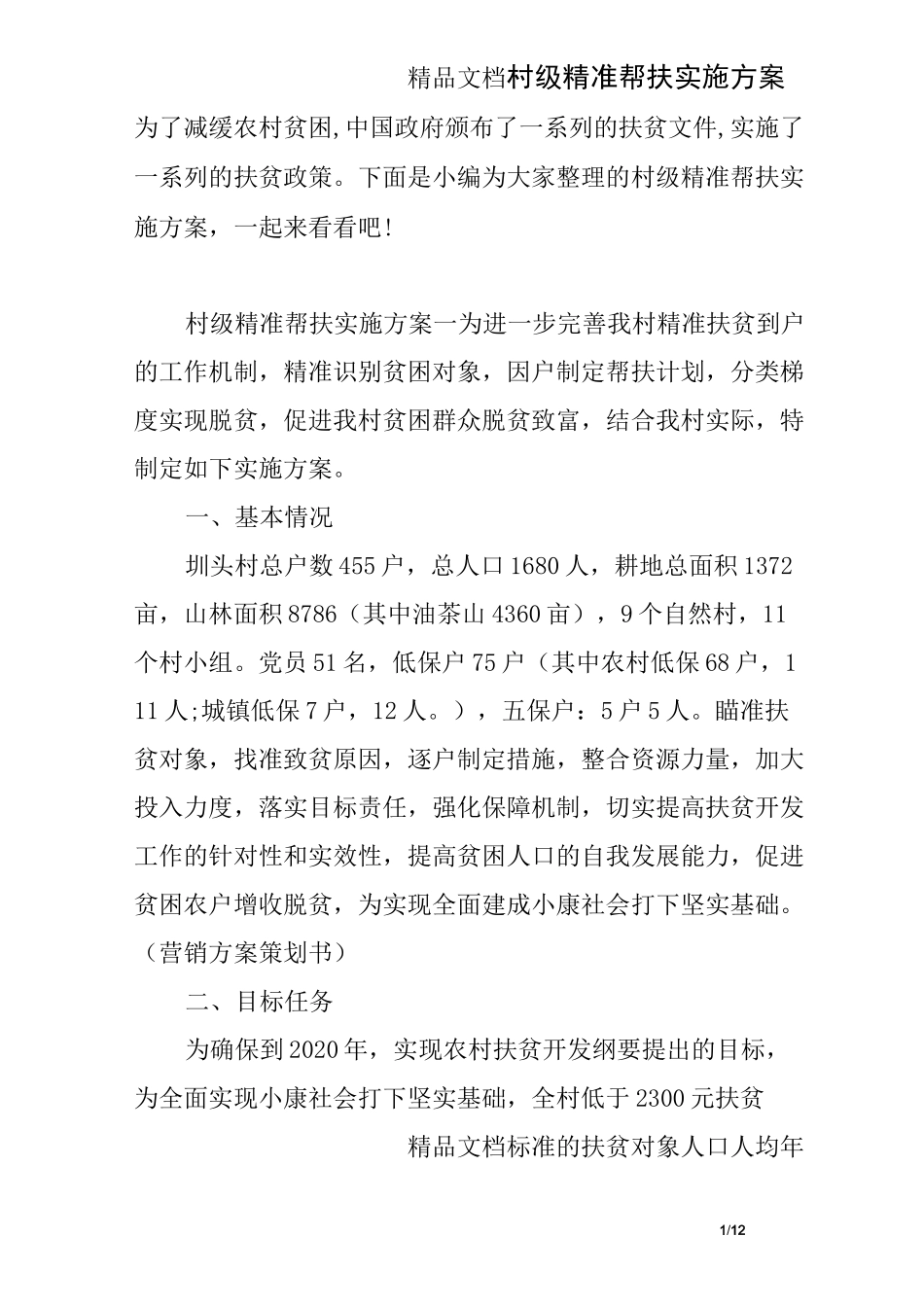 村级精准帮扶实施方案_第1页