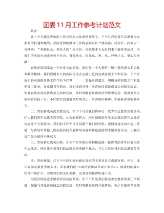 团委11月工作参考计划范文 