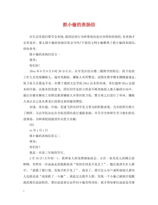 抓小偷的表扬信 