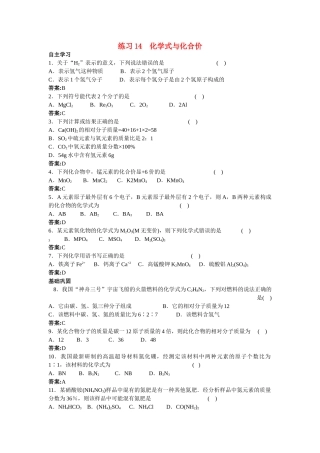 中考化学练习14 化学式与化合价