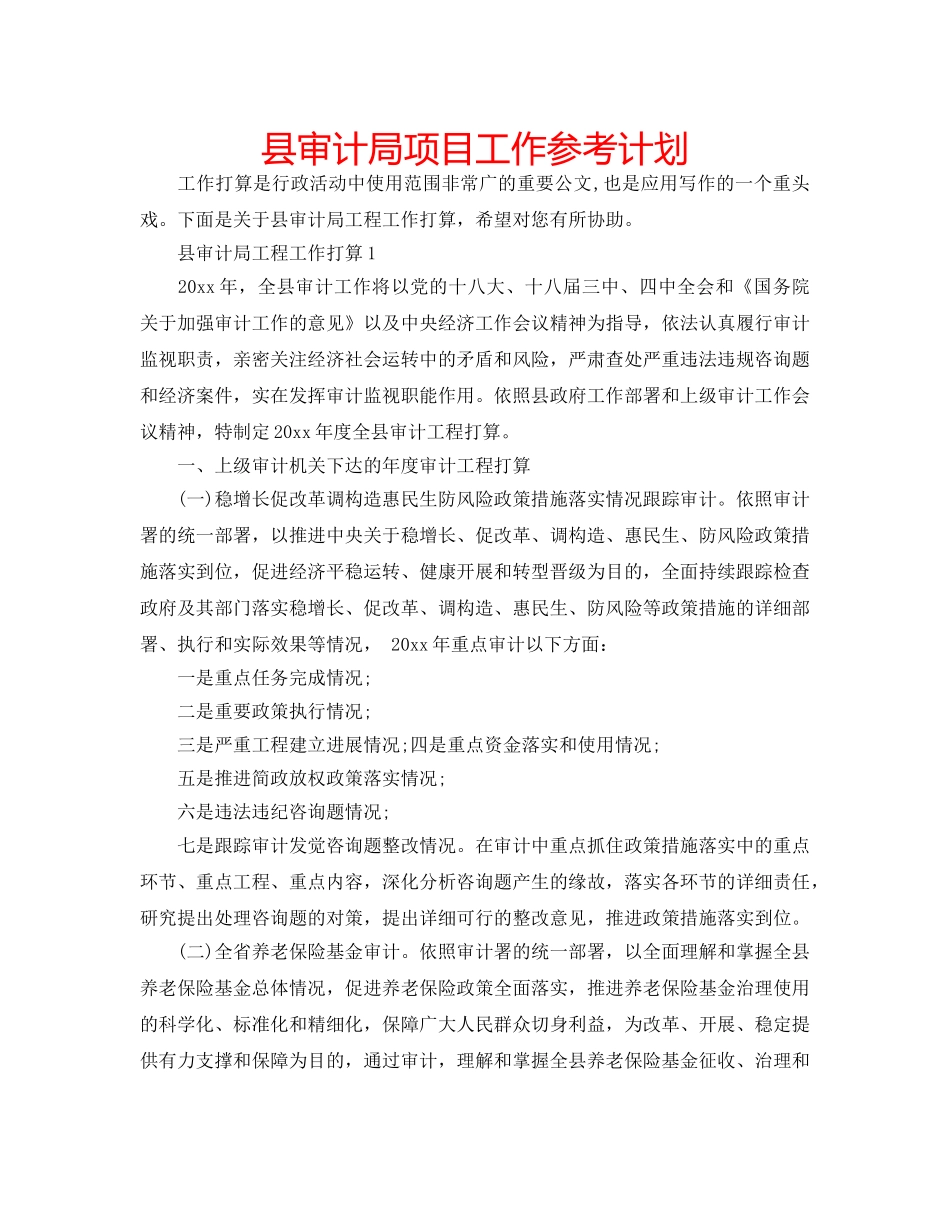县审计局项目工作参考计划 _第1页