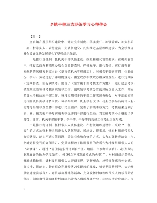 乡镇干部三支队伍学习心得体会 