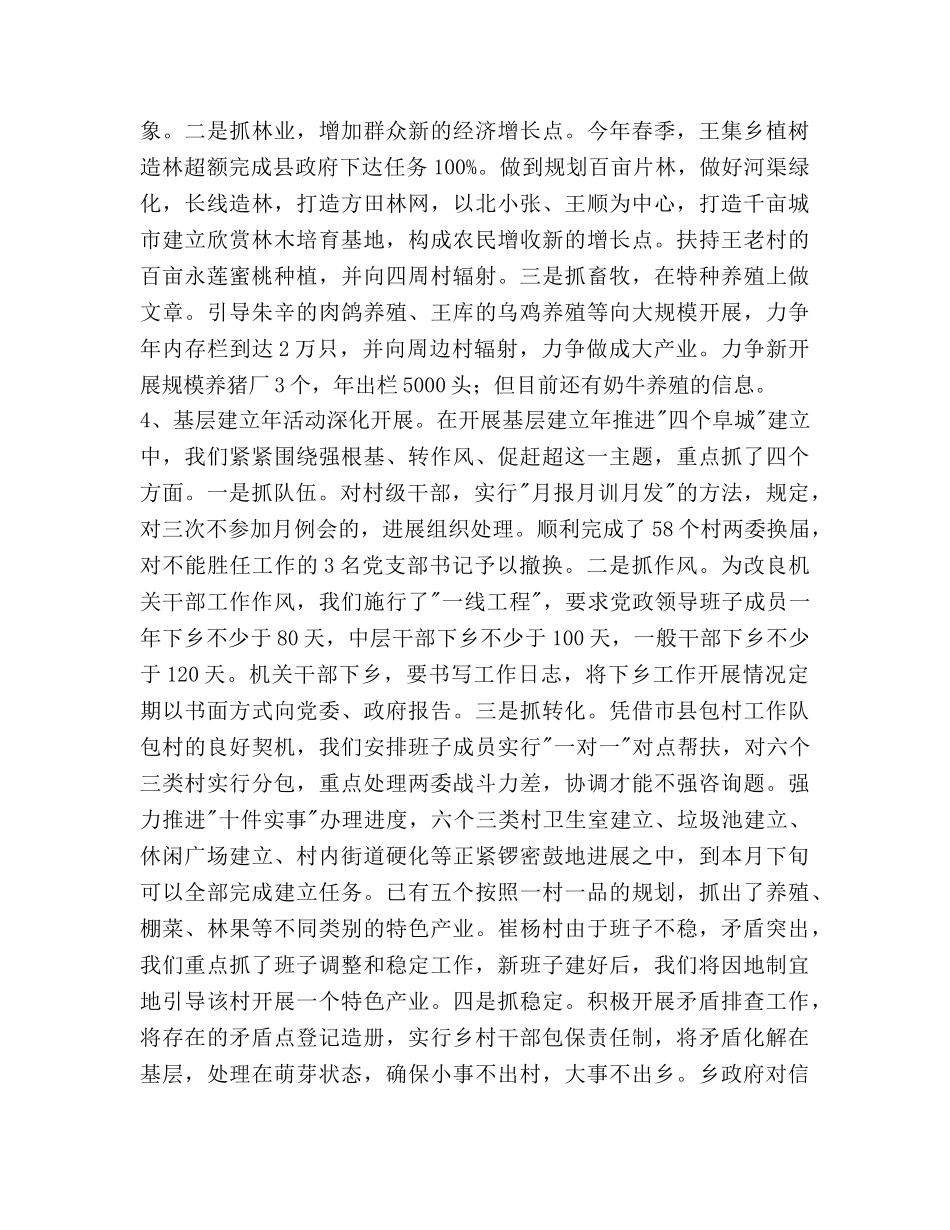 乡2020年上半年工作总结及下步工作参考计划范文 _第2页