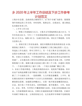 乡2020年上半年工作总结及下步工作参考计划范文 