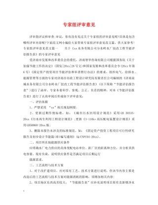 专家组评审意见