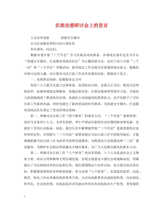 在政法委研讨会上的发言 