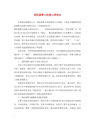 团队凝聚力拓展心得体会 