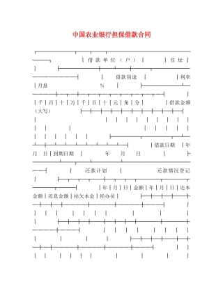 中国农业银行担保借款合同 (2)