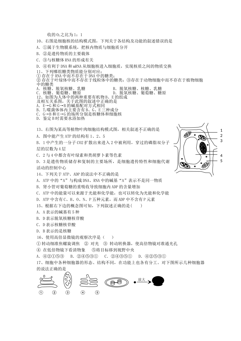 浙江省湖州市南浔2011高三生物11月月考试题无答案新人教版 _第2页