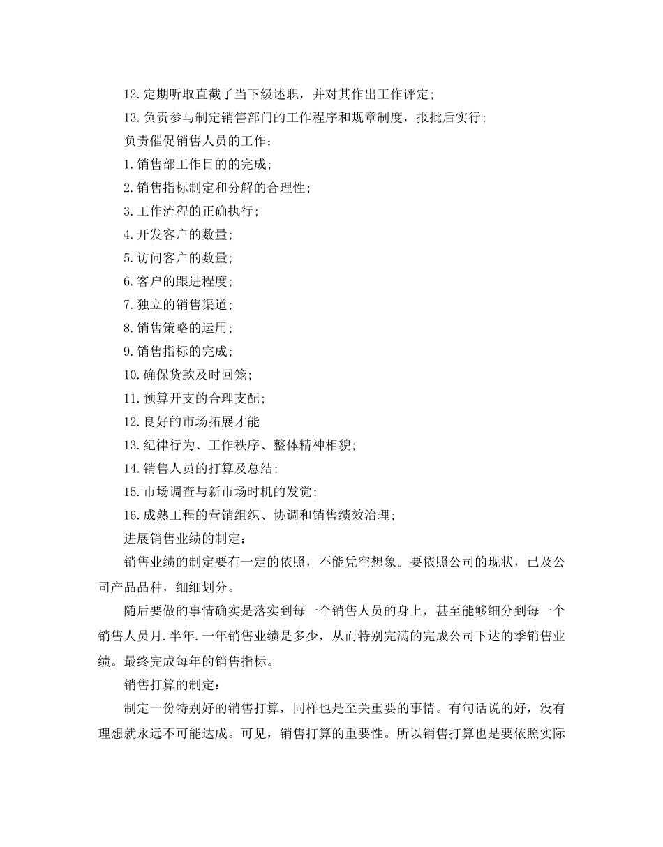 销售总监工作参考计划范文5篇 _第2页