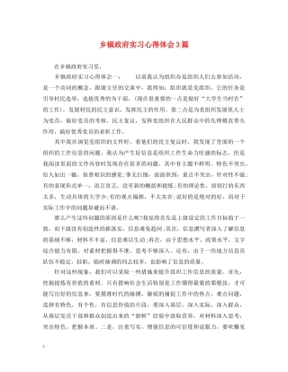 乡镇政府实习心得体会3篇 