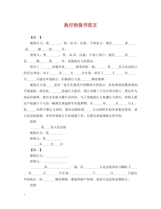 执行担保书范文 