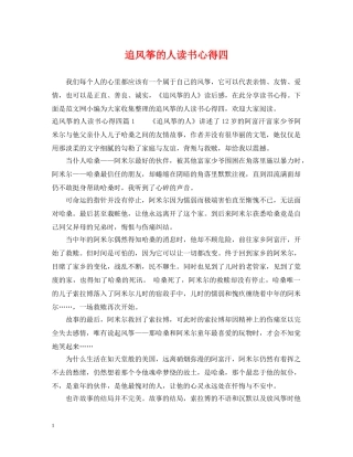 追风筝的人读书心得四 