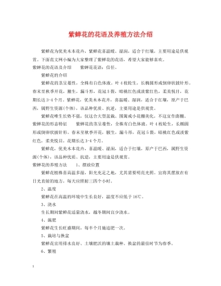 紫蝉花的花语及养殖方法介绍 