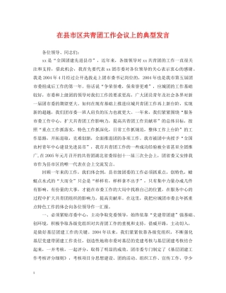 在县市区共青团工作会议上的典型发言 