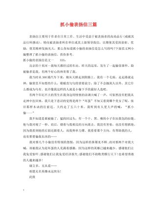 抓小偷表扬信三篇 