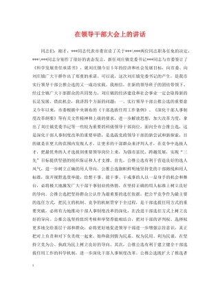 在领导干部大会上的讲话 