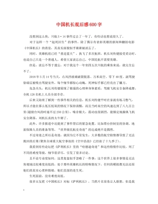 中国机长观后感600字
