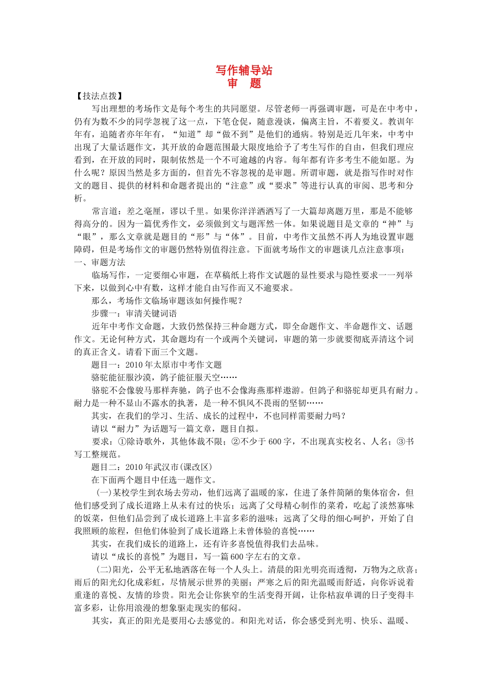 中考总复习语文写作辅导 审题_第1页